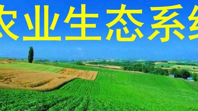 智慧农业种植系统：如何选择适合自己的方案