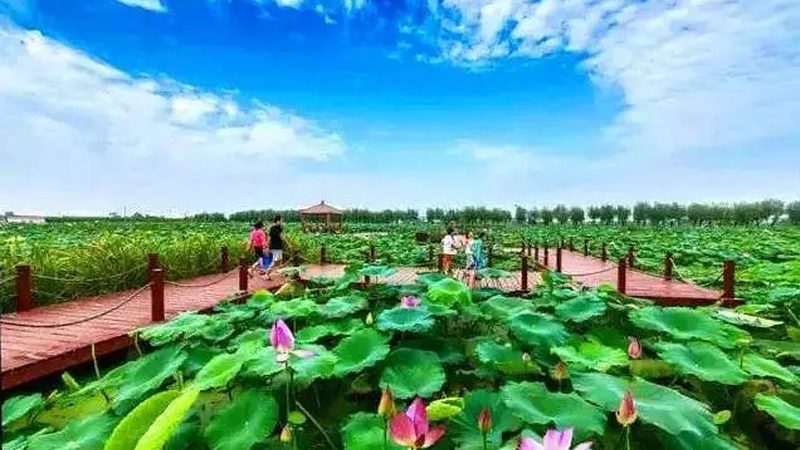 生态农业循环经济模式：构建绿色高效的价格体系