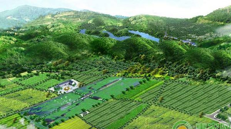 土壤养分分级标准表：科学种植的基石