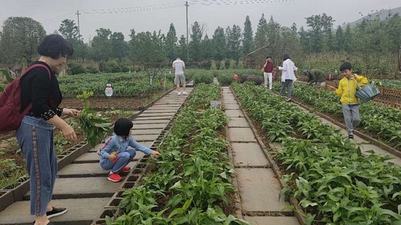 家庭农场采摘园选址，这些关键因素不能忽视**