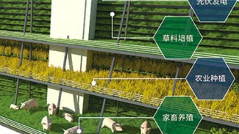 智慧农业种植系统：开启精准农业新时代