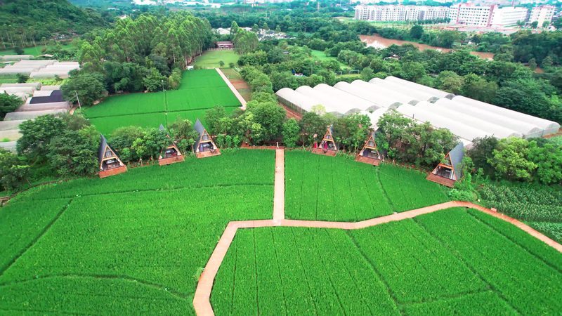 经营范围应遵循以下格式：