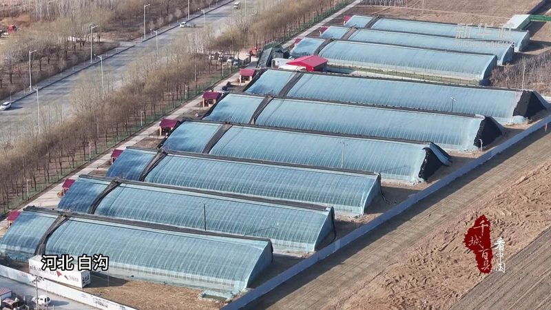 农业种植全流程步骤详解：从土壤到收获
