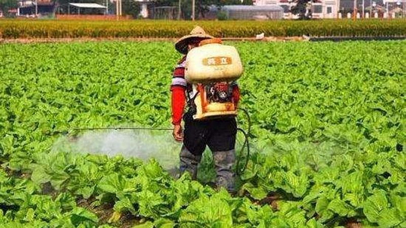 农村种植技术培训班怎么选