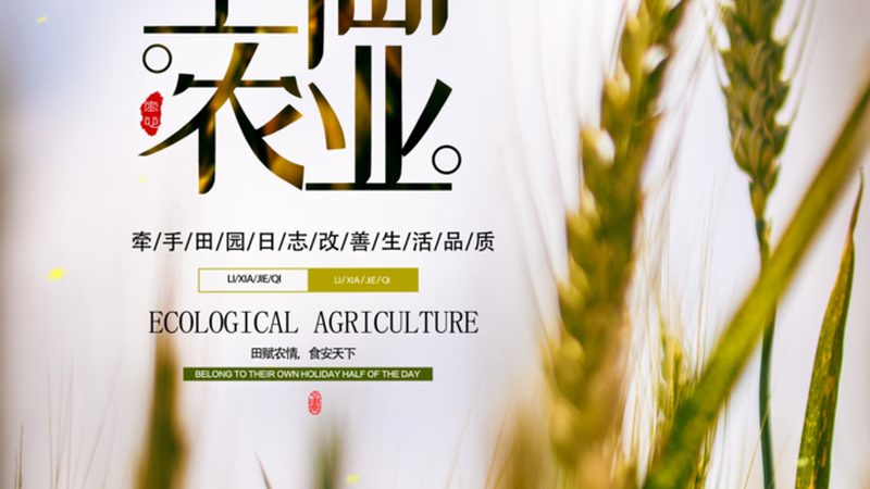 绿色食品认证机构哪家强？北京地区排名揭秘**