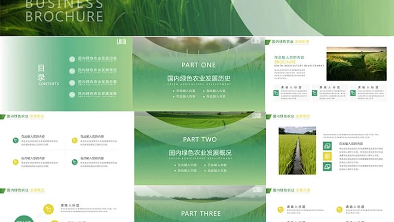 果蔬配送报价单格式：Word文档中的关键要素解析
